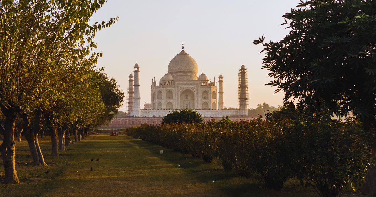 Gardens and Greenery mehtab bagh