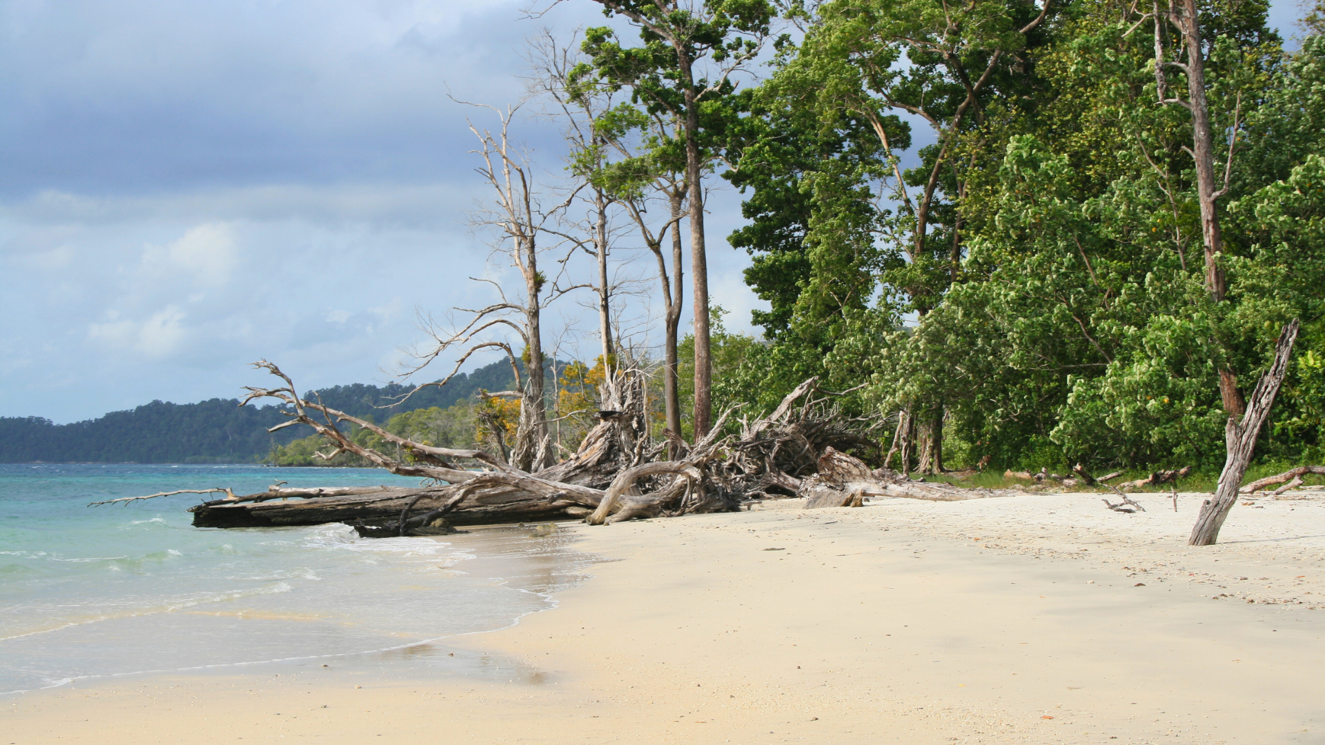 Radhanagar Beach (Havelock Island)