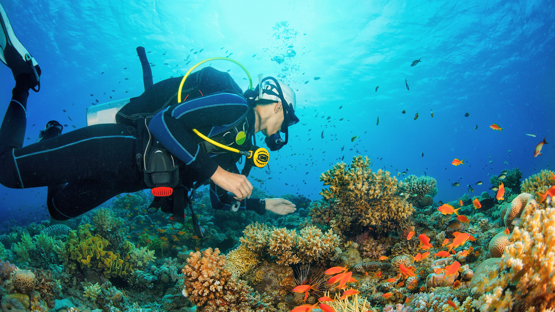 scuba diving in andaman