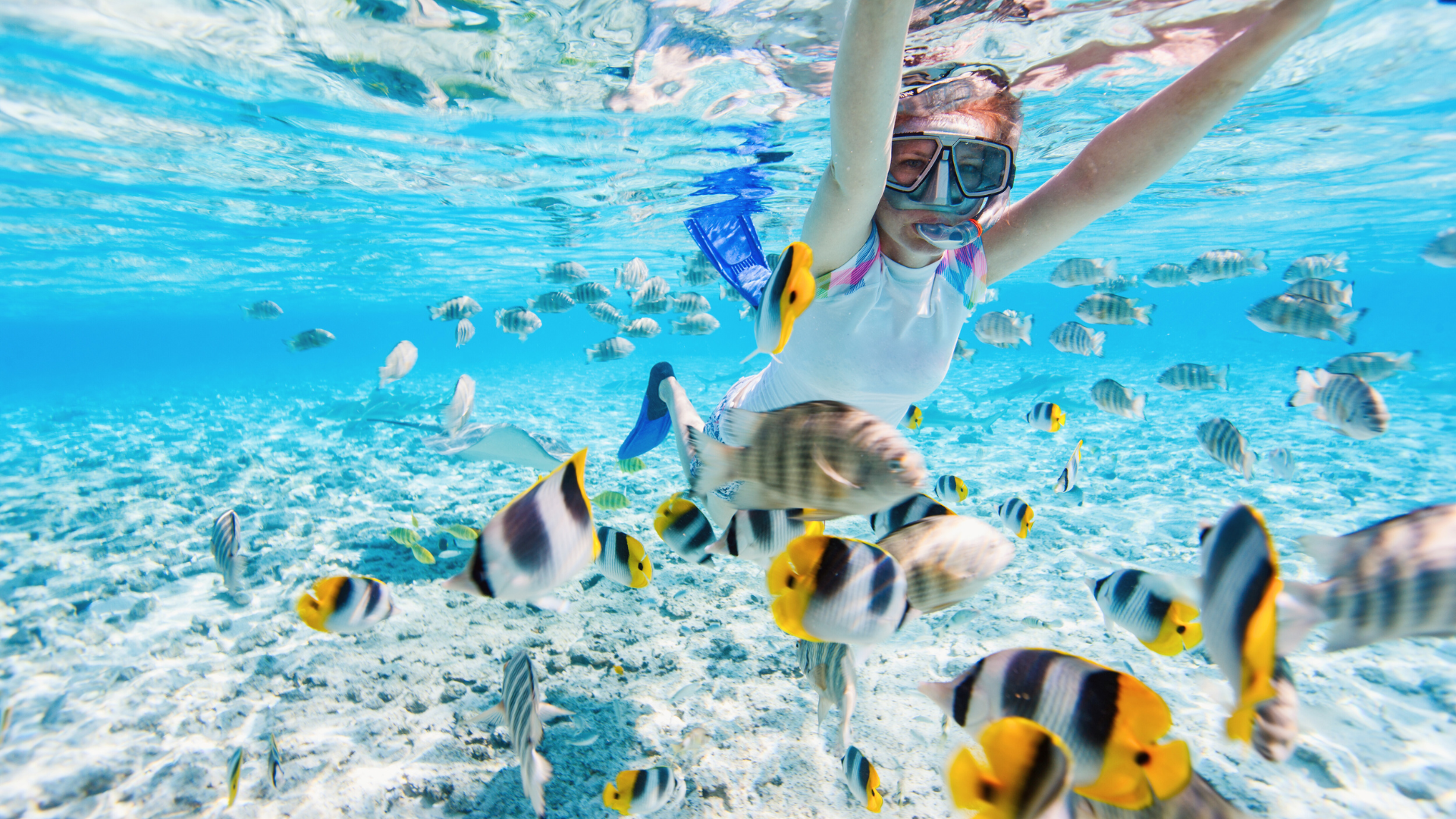 snorkeling in andaman