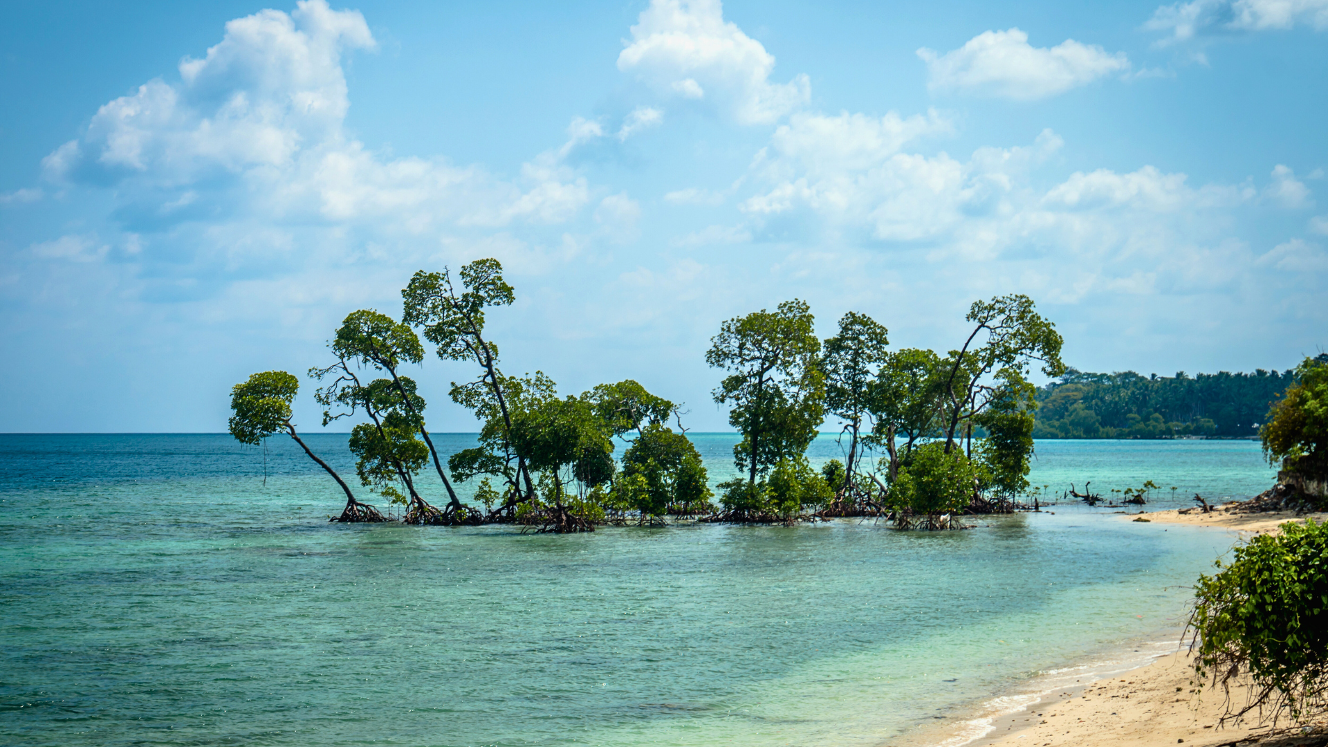 Laxmanpur Beach (Neil Island)